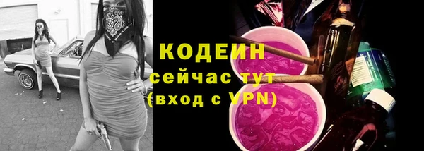 прущая мука Каменка