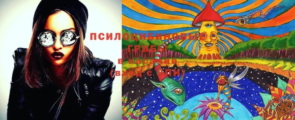 экстази Щигры