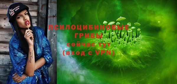 сатива Карталы
