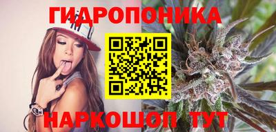 Альфа ПВП Будённовск