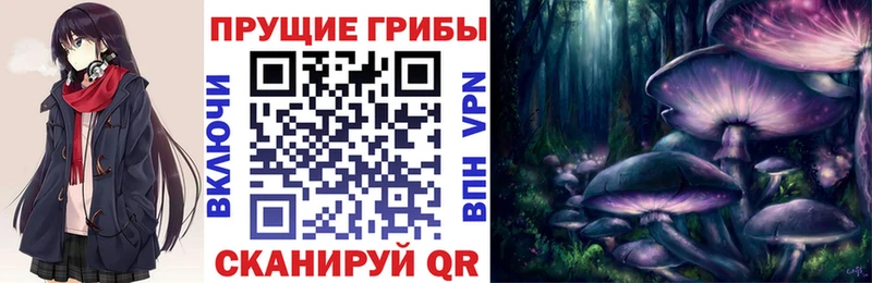 Галлюциногенные грибы GOLDEN TEACHER  где можно купить наркотик  Когалым 