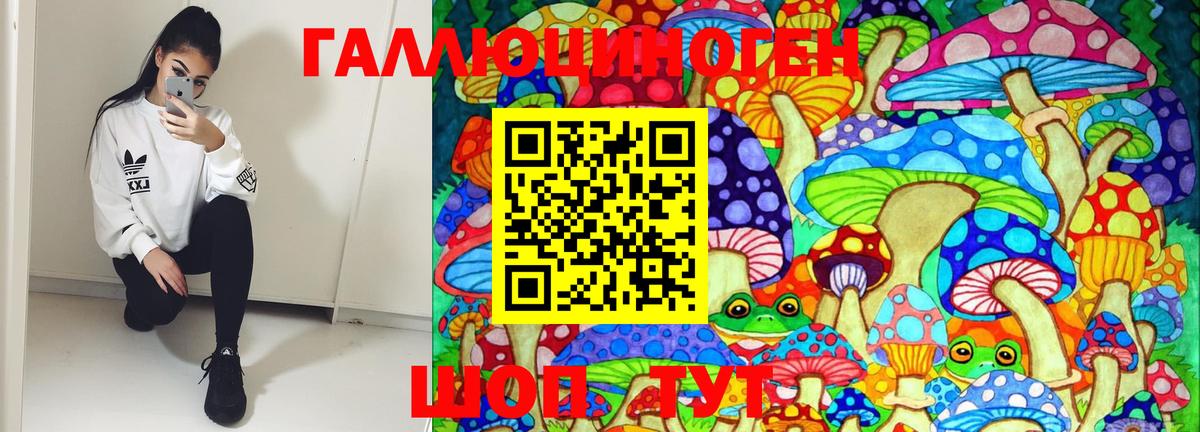 Когалым  Псилоцибиновые грибы GOLDEN TEACHER  Галлюциногенные грибы MAGIC MUSHROOMS  Вход с VPN 